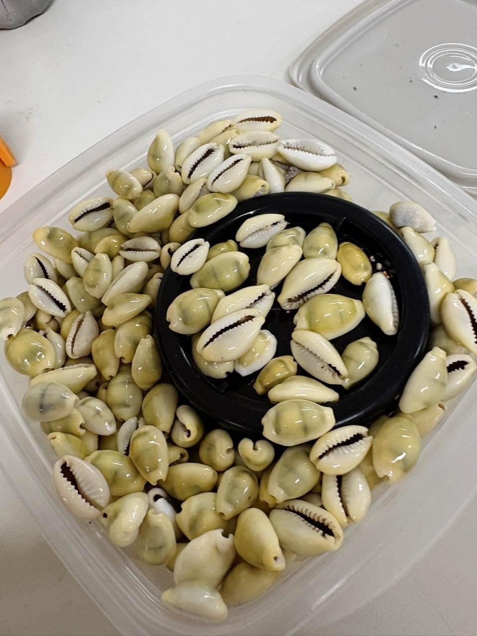 Avaliação produto
