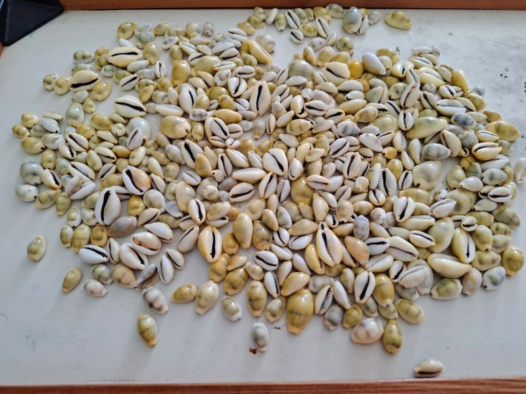 Avaliação produto