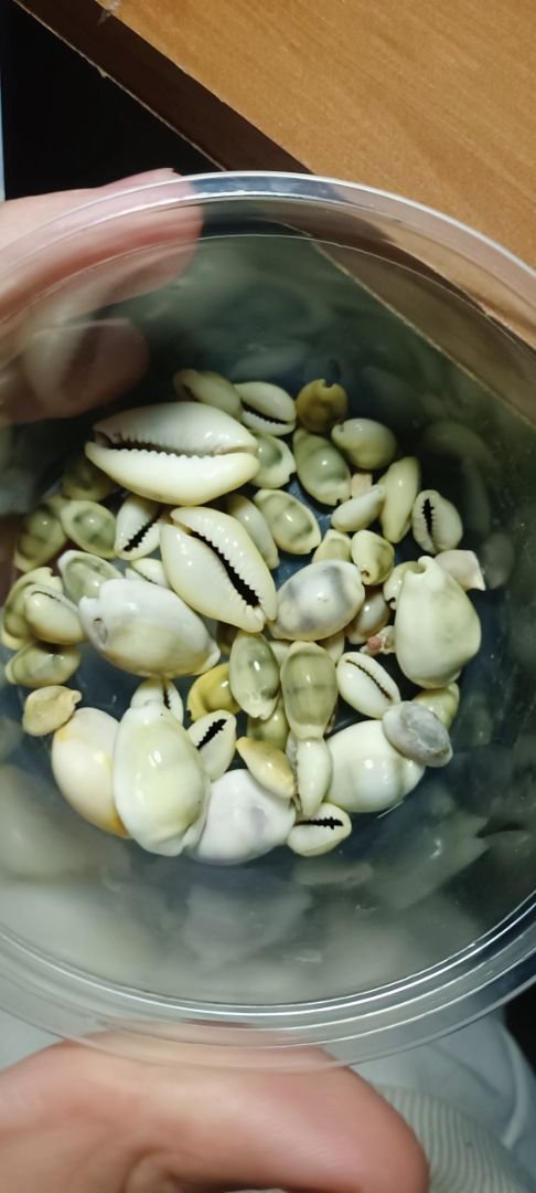 Avaliação produto