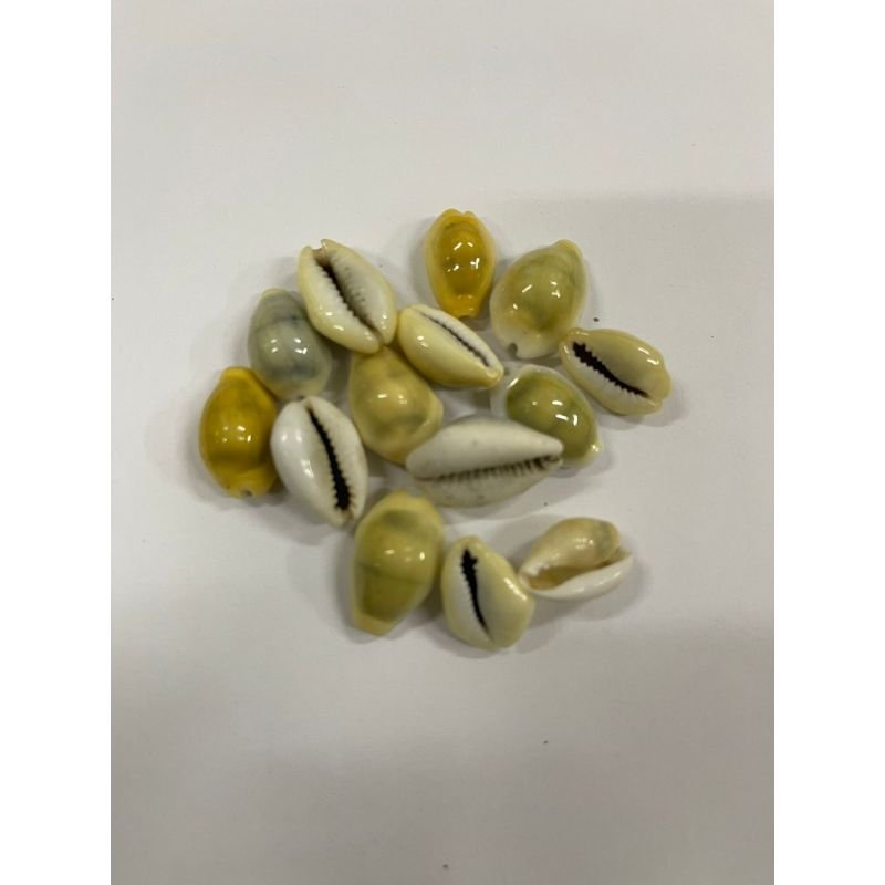 Búzios Gema Natural Fechado 250g
